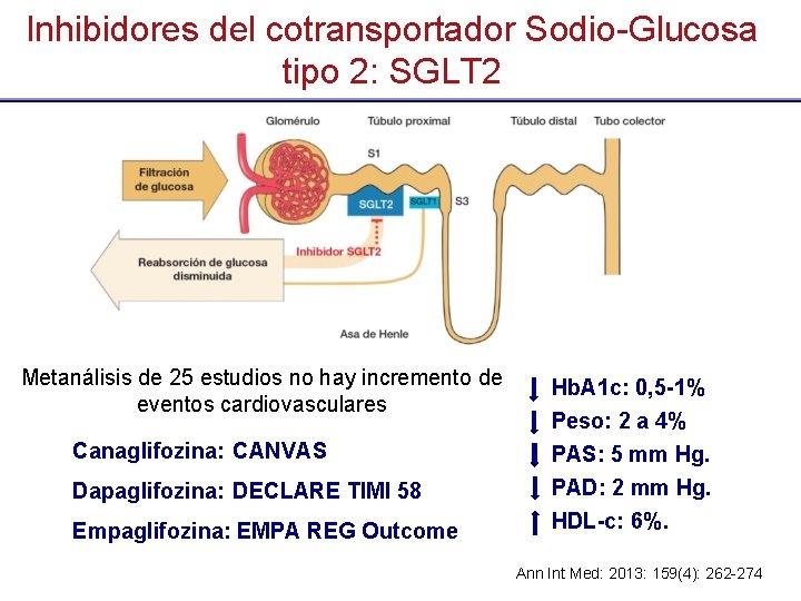 Inhibidores del cotransportador Sodio-Glucosa tipo 2: SGLT 2 Metanálisis de 25 estudios no hay
