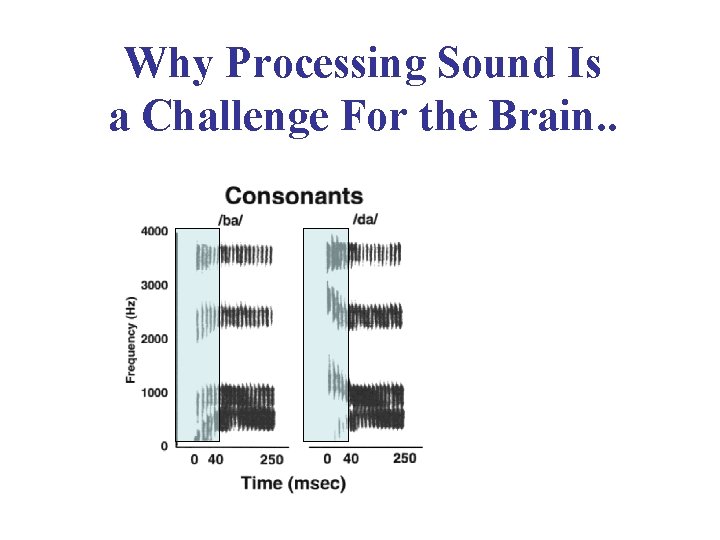 Why Processing Sound Is a Challenge For the Brain. . 
