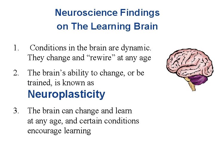 Neuroscience Findings on The Learning Brain 1. Conditions in the brain are dynamic. They