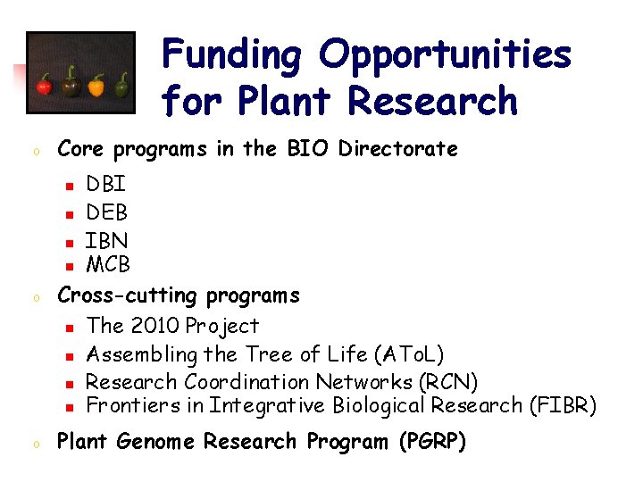 Funding Opportunities for Plant Research o Core programs in the BIO Directorate o DBI