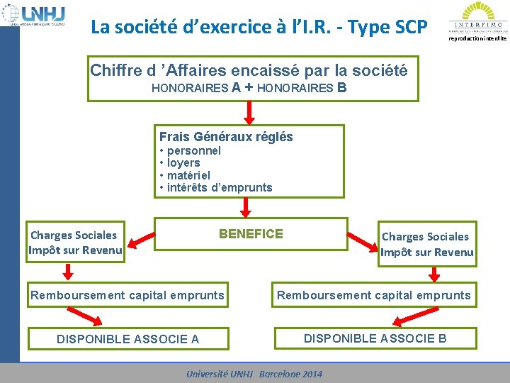 La société d’exercice à l’I. R. - Type SCP reproduction interdite Chiffre d ’Affaires