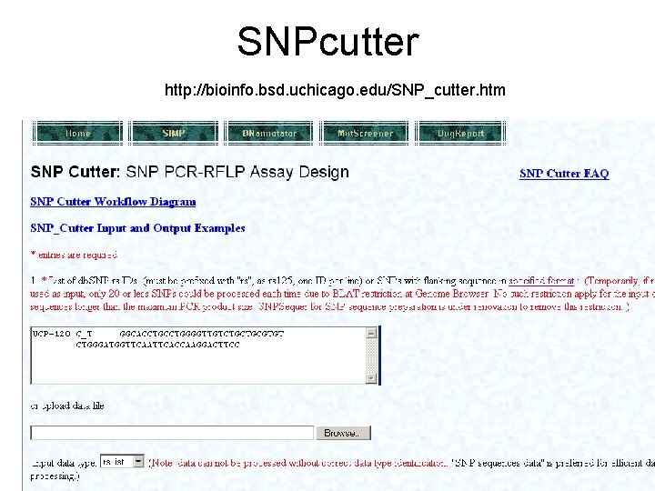 SNPcutter http: //bioinfo. bsd. uchicago. edu/SNP_cutter. htm 