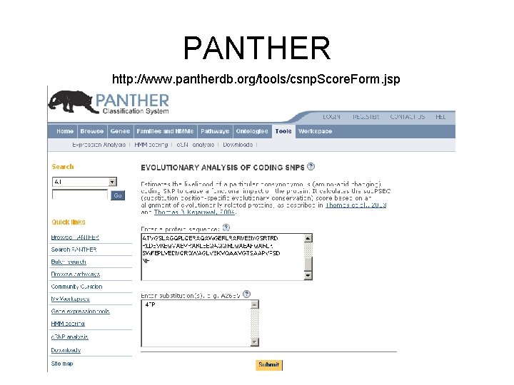 PANTHER http: //www. pantherdb. org/tools/csnp. Score. Form. jsp 