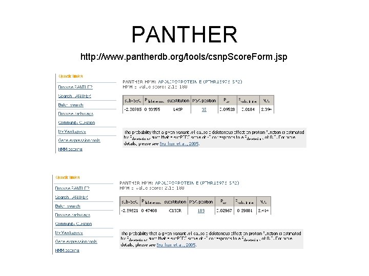 PANTHER http: //www. pantherdb. org/tools/csnp. Score. Form. jsp 