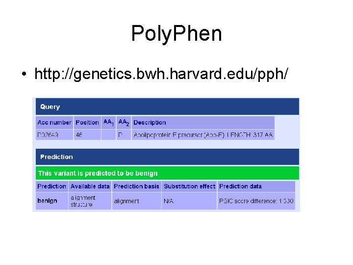 Poly. Phen • http: //genetics. bwh. harvard. edu/pph/ 