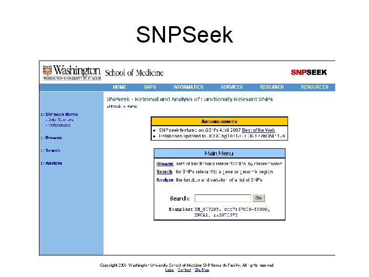 SNPSeek 