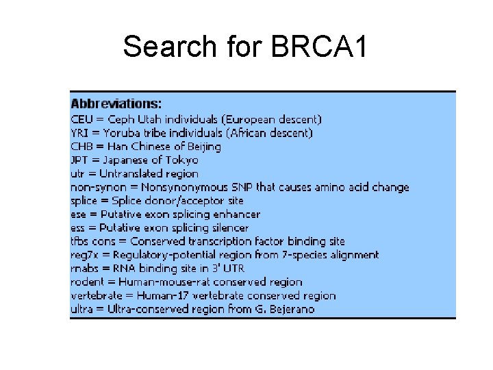 Search for BRCA 1 