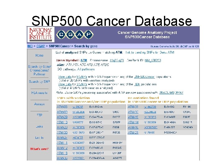 SNP 500 Cancer Database 