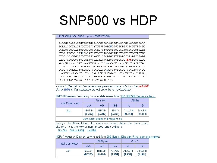 SNP 500 vs HDP 