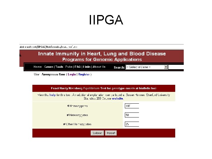 IIPGA 