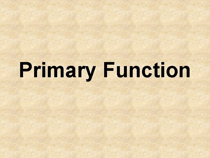 Primary Function 