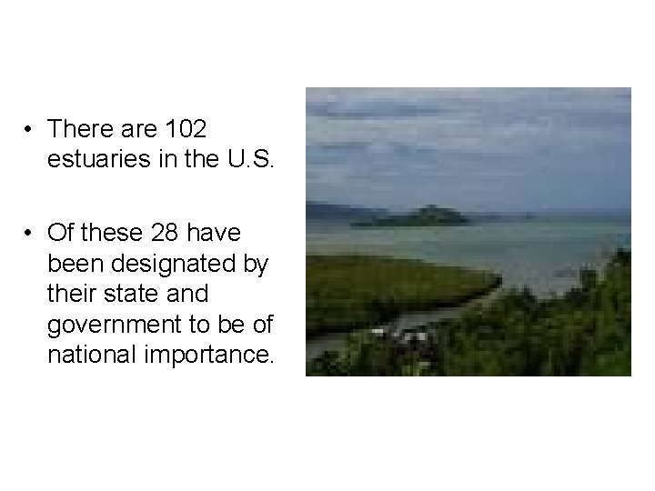  • There are 102 estuaries in the U. S. • Of these 28