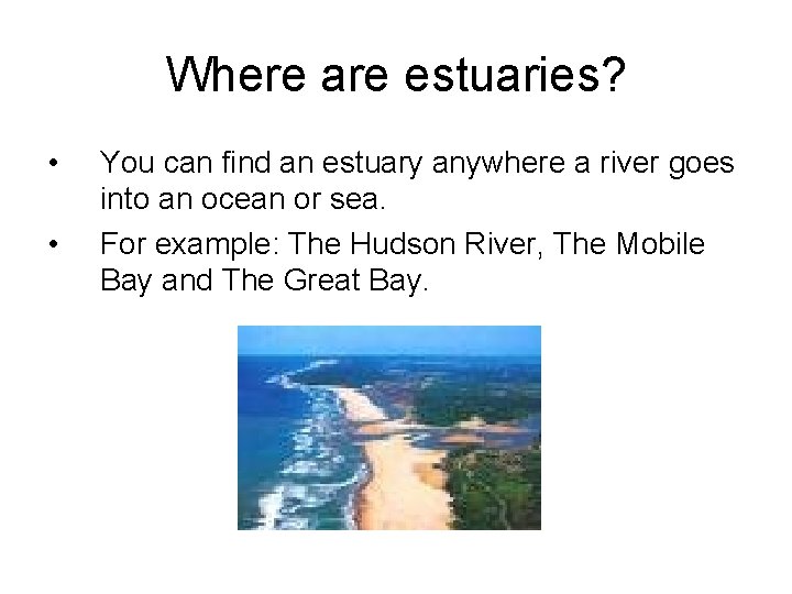 Where are estuaries? • • You can find an estuary anywhere a river goes