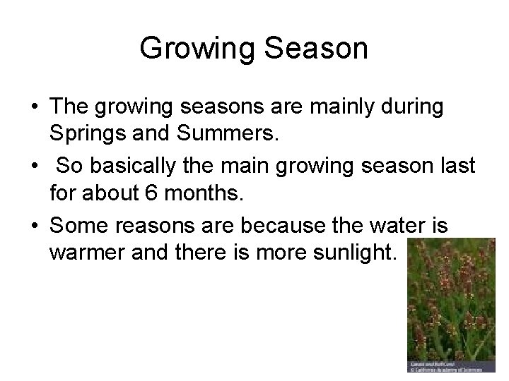 Growing Season • The growing seasons are mainly during Springs and Summers. • So