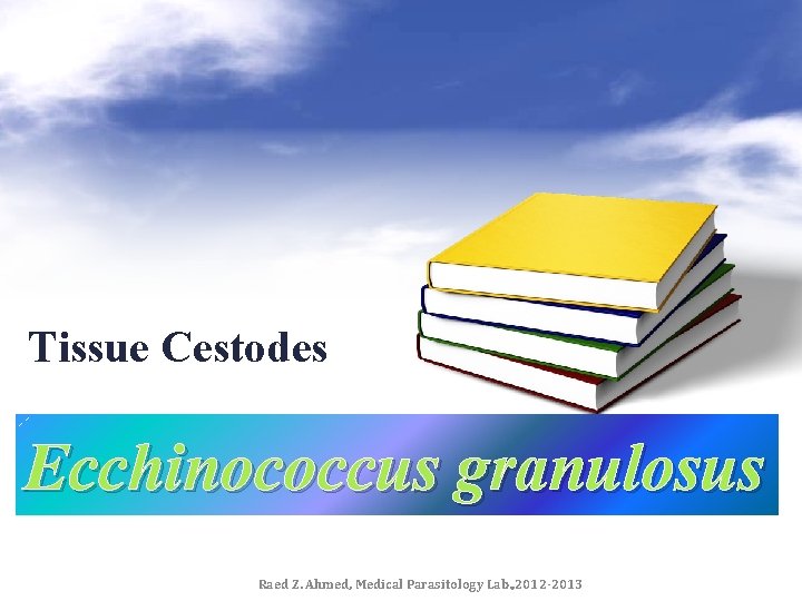 Tissue Cestodes Ecchinococcus granulosus Raed Z. Ahmed, Medical Parasitology Lab. , 2012 -2013 