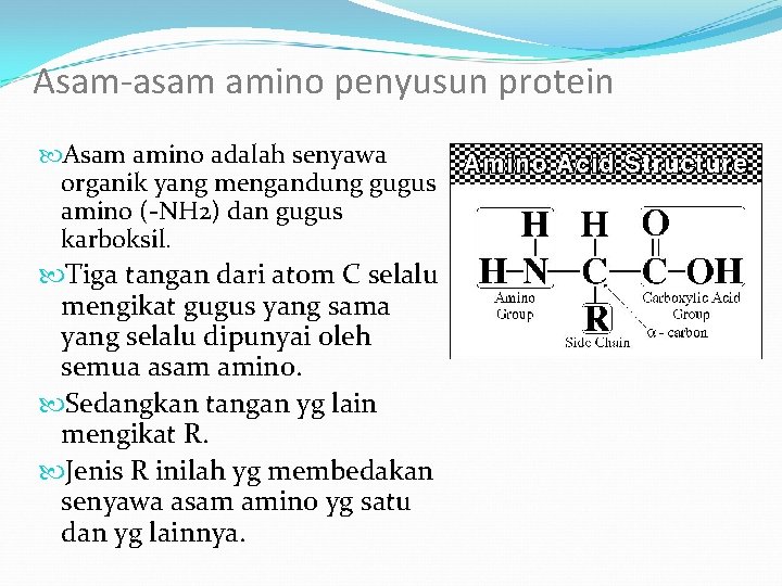 Asam-asam amino penyusun protein Asam amino adalah senyawa organik yang mengandung gugus amino (-NH