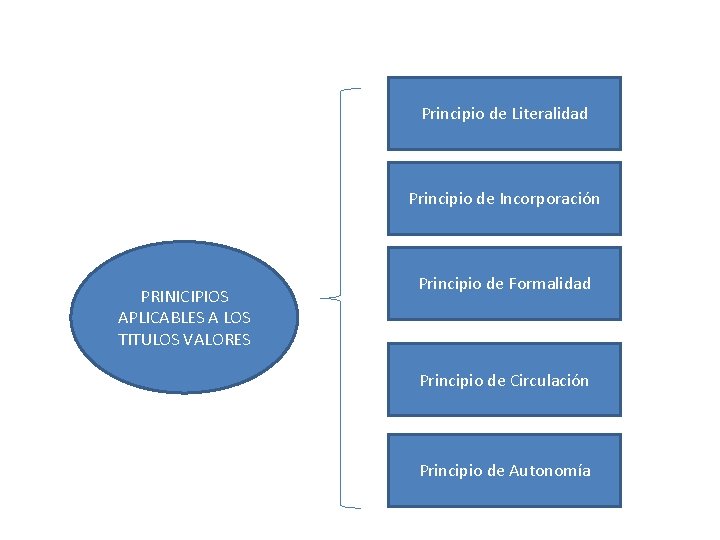 Principio de Literalidad Principio de Incorporación PRINICIPIOS APLICABLES A LOS TITULOS VALORES Principio de