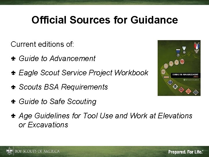 Official Sources for Guidance Current editions of: Guide to Advancement Eagle Scout Service Project