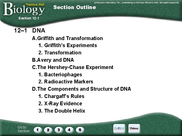 Section Outline Section 12 -1 12– 1 DNA A. Griffith and Transformation 1. Griffith’s