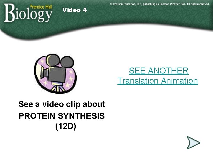 Video 4 SEE ANOTHER Translation Animation See a video clip about PROTEIN SYNTHESIS (12