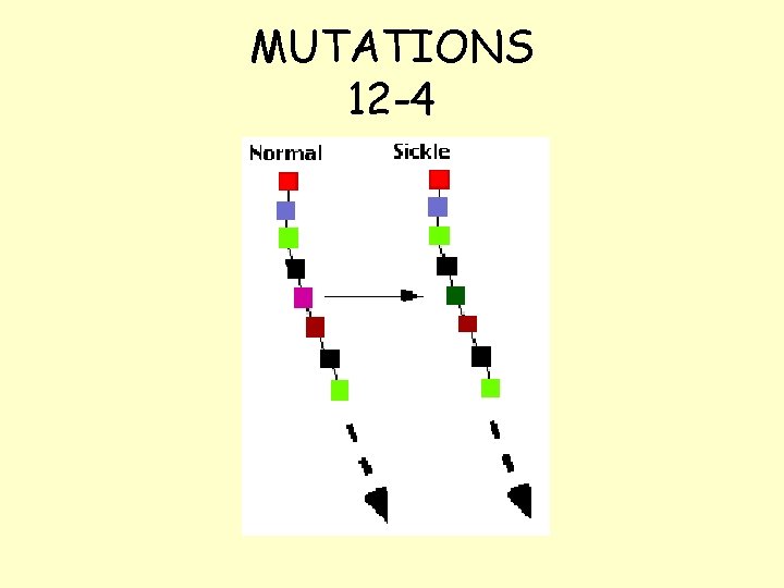 MUTATIONS 12 -4 