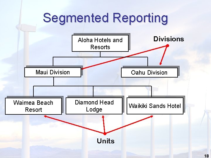 Segmented Reporting Aloha Hotels and Resorts Maui Division Waimea Beach Resort Divisions • Oahu