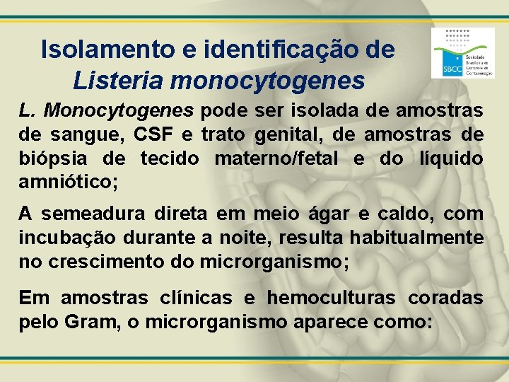 Isolamento e identificação de Listeria monocytogenes L. Monocytogenes pode ser isolada de amostras de