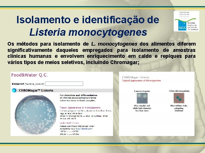 Isolamento e identificação de Listeria monocytogenes Os métodos para isolamento de L. monocytogenes dos