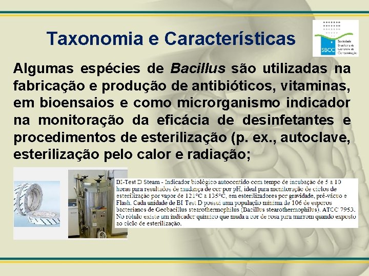 Taxonomia e Características Algumas espécies de Bacillus são utilizadas na fabricação e produção de