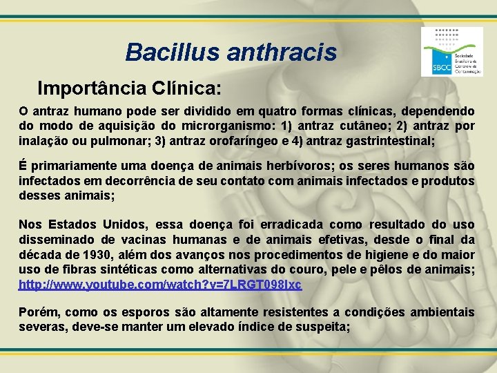 Bacillus anthracis Importância Clínica: O antraz humano pode ser dividido em quatro formas clínicas,