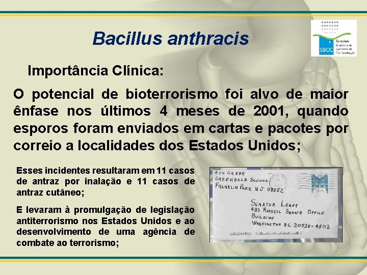 Bacillus anthracis Importância Clínica: O potencial de bioterrorismo foi alvo de maior ênfase nos