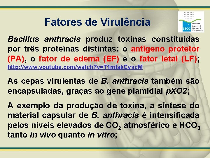 Fatores de Virulência Bacillus anthracis produz toxinas constituídas por três proteínas distintas: o antígeno