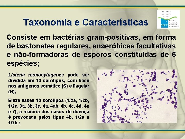 Taxonomia e Características Consiste em bactérias gram-positivas, em forma de bastonetes regulares, anaeróbicas facultativas