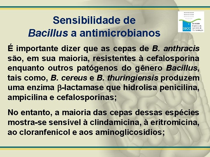 Sensibilidade de Bacillus a antimicrobianos É importante dizer que as cepas de B. anthracis