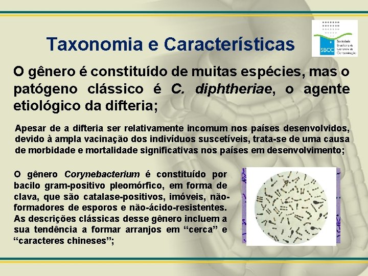 Taxonomia e Características O gênero é constituído de muitas espécies, mas o patógeno clássico