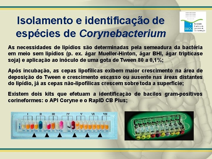 Isolamento e identificação de espécies de Corynebacterium As necessidades de lipídios são determinadas pela