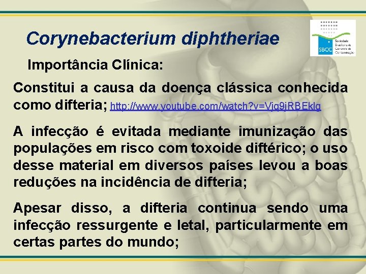 Corynebacterium diphtheriae Importância Clínica: Constitui a causa da doença clássica conhecida como difteria; http: