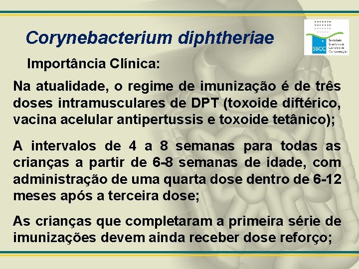 Corynebacterium diphtheriae Importância Clínica: Na atualidade, o regime de imunização é de três doses