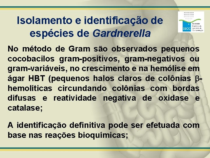 Isolamento e identificação de espécies de Gardnerella No método de Gram são observados pequenos