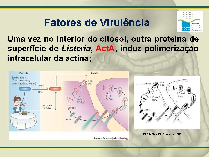 Fatores de Virulência Uma vez no interior do citosol, outra proteína de superfície de