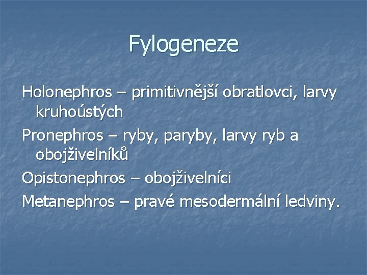 Fylogeneze Holonephros – primitivnější obratlovci, larvy kruhoústých Pronephros – ryby, paryby, larvy ryb a