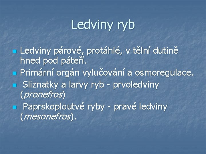 Ledviny ryb n n Ledviny párové, protáhlé, v tělní dutině hned pod páteří. Primární