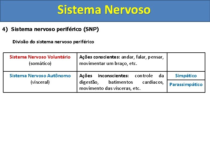 Sistema Nervoso 4) Sistema nervoso periférico (SNP) Divisão do sistema nervoso periférico Sistema Nervoso