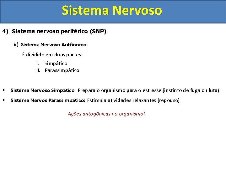 Sistema Nervoso 4) Sistema nervoso periférico (SNP) b) Sistema Nervoso Autônomo É dividido em