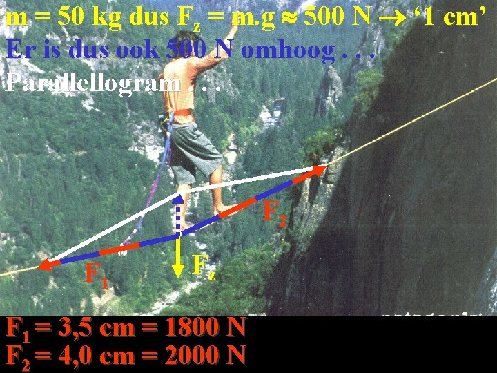 m = 50 kg dus Fz = m. g 500 N ‘ 1 cm’