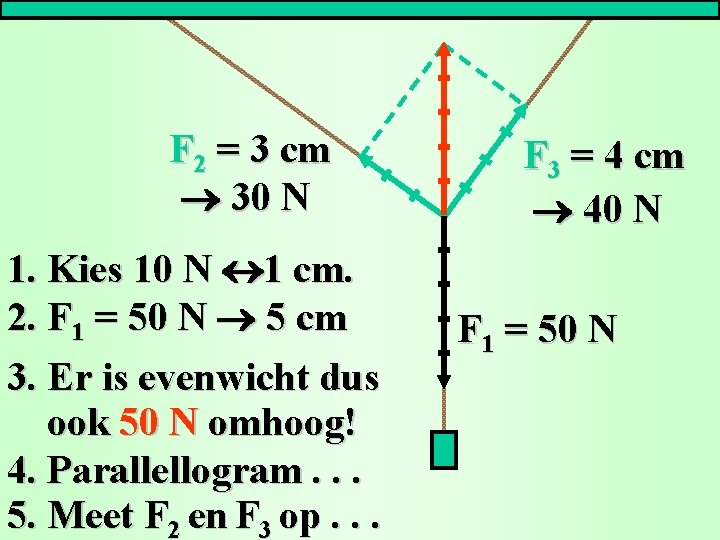 F 2 = 3 cm 30 N 1. Kies 10 N 1 cm. 2.