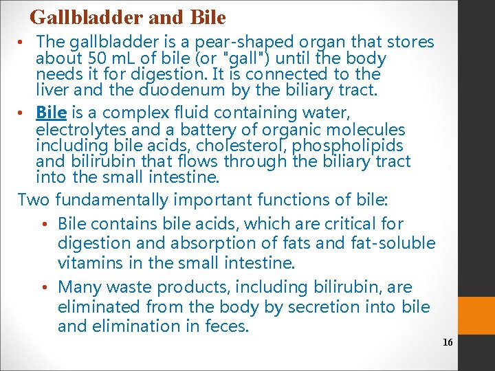 Gallbladder and Bile • The gallbladder is a pear-shaped organ that stores about 50