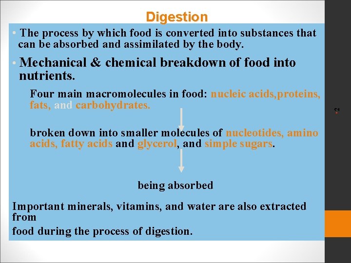 Digestion • The process by which food is converted into substances that can be