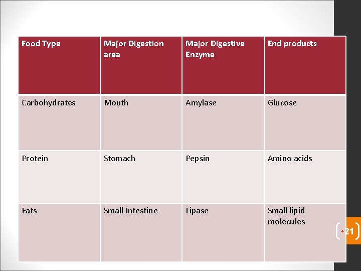 Food Type Major Digestion area Major Digestive Enzyme End products Carbohydrates Mouth Amylase Glucose Food Type Major Digestion area Major Digestive Enzyme End products Carbohydrates Mouth Amylase Glucose