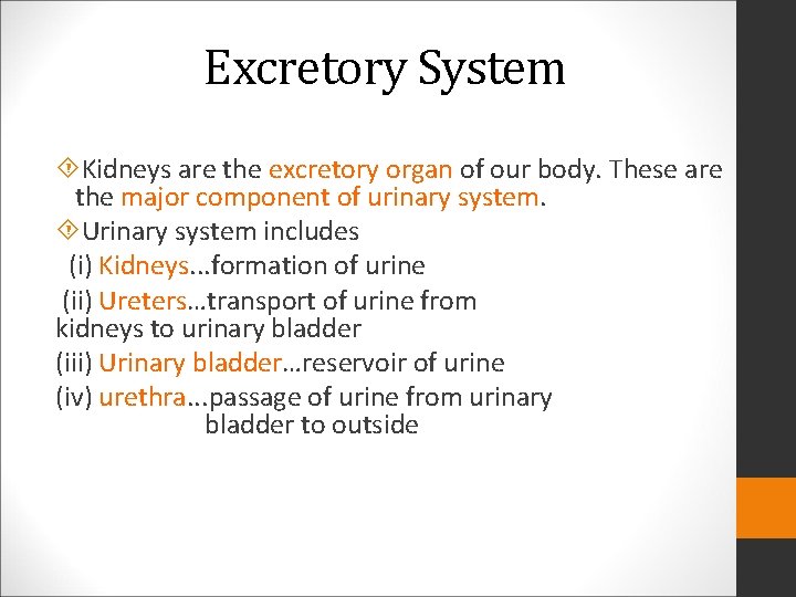 Excretory System Kidneys are the excretory organ of our body. These are the major